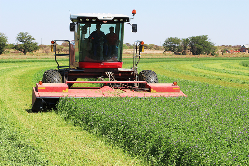 alfalfa being cut