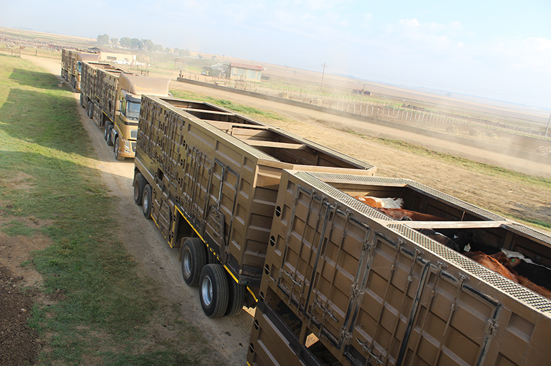 trucks on their way to airport