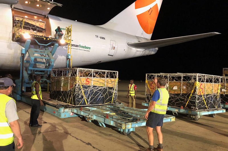 cattle in crates are loaded onto airplane