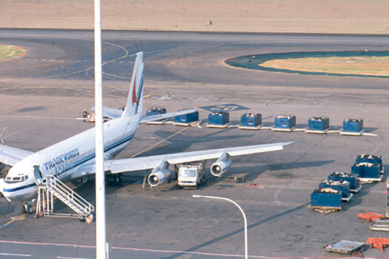 crates with cattle waiting at the airport to be loaded